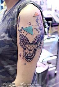 bras épines modèle de tatouage tête de cerf de style européen et américain