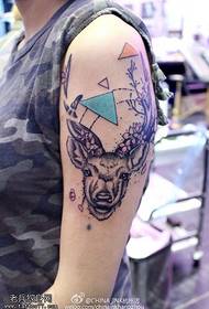 Mga tunok sa bukton sa European ug American style deer head tattoo pattern