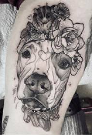 Avrupa buzağı dövme bitki ve köpek yavrusu dövme resim üzerinde erkek incik