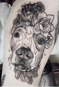 Stinco maschio del tatuaggio europeo del vitello sull'immagine del tatuaggio del cucciolo e della pianta