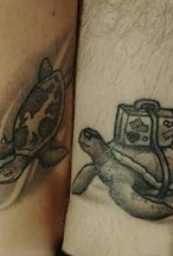 корњача тетоважа Узорак дечак дршка на црном пепелу корњача тетоважа слику