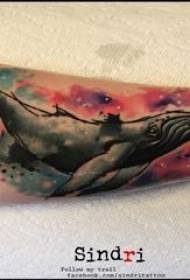 Hình xăm cá voi cô gái hình xăm cá voi trên cánh tay