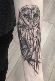 Baile životinja tetovaža životinja muške ruke na crnoj slici tetovaže sova