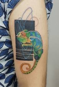 Baile animal tattoo hombre color brazo color camaleón tatuaje foto