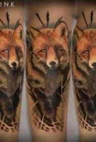 Ang braso ng batang lalaki ng tattoo na kulay ng fox sa kulay na larawan ng fox tattoo