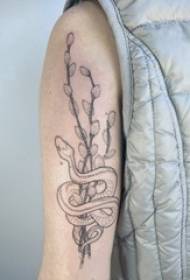 Meisjesarm op zwarte lijn mooie wijnstok dominante slang tatoeage foto