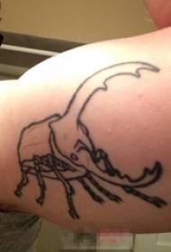 黑色簡約線創意昆蟲紋身圖片上的男生手臂