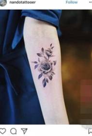 Ang braso ng babae sa itim na sketch pampanitikan maliit na sariwang magagandang pattern ng tattoo ng bulaklak