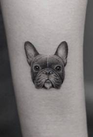 Mergaitės rankos ant juodo eskizo dūrio triukas - kūrybingas mielo šuniuko tatuiruotės paveikslėlis
