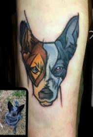 Fiúk karjai festett színátmenet egyszerű absztrakt vonalak kis állatok kisállat kutya tetoválás kép