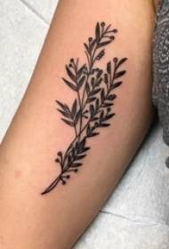 Gabdhaha yar yar ee dhirta yar yar ee loo yaqaan 'tattoo plant plant tattoo tattoo tattoo sawir sawir'