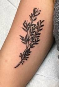 Maschera del tatuaggio della pianta del braccio nero della ragazza del tatuaggio della piccola pianta fresca