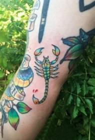 Baile tatuaggi animali mano maschile su immagini di tatuaggi di trecce colorate