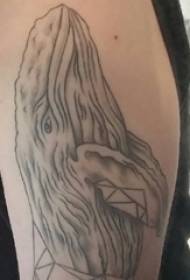 Braccia dei ragazzi sull'immagine creativa nera del tatuaggio della balena di Grey Sketch Sting Tips