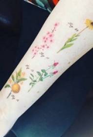 Brazo de moza de tatuaxe de planta fresca en cadros de tatuaxe de plantas de cores