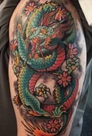 Drake tatuu, ọmọkunrin, ya lori apa, aworan collection tatuu