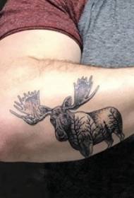 ຮູບແບບ tattoo Elk ຂອງແຂນນັກຮຽນຊາຍໃນຮູບ elk tattoo ສີດໍາ