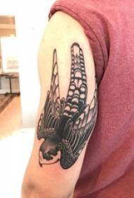 Braç estudiant masculí tatuatge ocell sobre un quadre de tatuatge gris negre