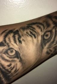 Baile animalia tatuaje gizonezko ikaslearen besoa tigre beltzaren tatuaje irudian