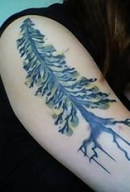 Maschera classica letteraria del tatuaggio dell'albero dipinto schizzo dell'acquerello del braccio della ragazza