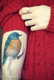 ذراع الفتاة رسمت المائية الإبداعية لطيف صورة الوشم الطيور
