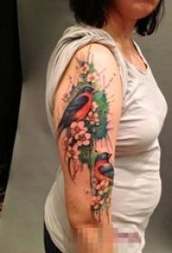 여자의 팔 그린 식물 꽃과 새 문신 사진