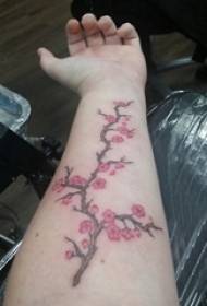 Kersenbloesem tattoo meisje gekleurd kersenbloesem tattoo foto op arm