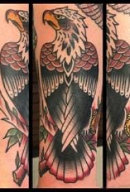 Matériau de tatouage du bras, image de tatouage d'un aigle mâle sur le bras