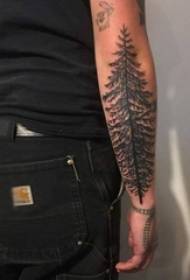 Krahu i djalit në pikën e zezë gjemba linjë e thjeshtë bimë e dendur tatuazh pemë foto