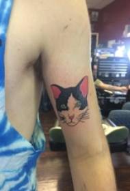 Матеріал татуювання на руці, рука хлопчика, кольорова картина татуювання кішки
