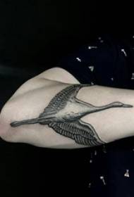 Braccio da ragazzo su punto grigio nero spina linea semplice piccola immagine di tatuaggio di gru bianca animale