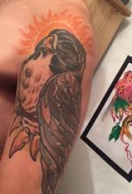 Bras de garçon de tatouage d'aigle coloré sur l'image dominatrice de tatouage d'aigle de couleur