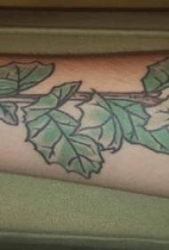 그라데이션 간단한 라인 식물에 그려진 소년 팔 문신 사진 나뭇잎