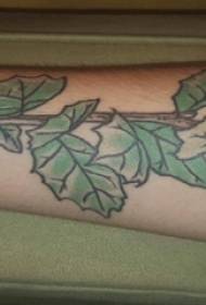 Boys arms painted on gradient simple lines plant leaves tattoo pictures