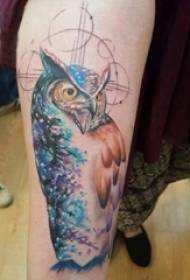 Tattoo hibou fille hibou sur l'image de tatouage bras coloré