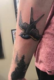 Birdan ƙaramin tsuntsu 3d tattoo hannun ɗalibin akan hoton tsuntsu mai launin fata