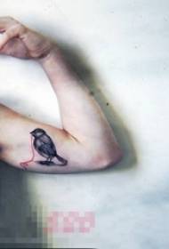 Ramię ucznia na czarnej linii szkic obrazu tatuaż mały ptak zwierzę