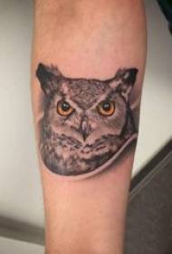 Ulchabhán cailín tattoo owl ar phictiúr tattoo lámh dubh