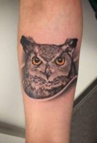 Gufo tatuaggio ragazza gufo sulla foto tatuaggio braccio nero