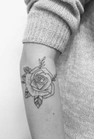 ແຂນຄູ່ຜົວເມຍກ່ຽວກັບເສັ້ນແຕ້ມເສັ້ນສີດໍາທີ່ມີຄວາມຄິດສ້າງສັນກາຕູນ studi ຮູບພາບ tattoo