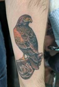Ragazzino braccio dipinto ad acquerello schizzo carino uccello animale tatuaggio immagine