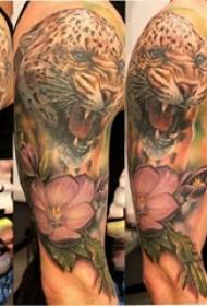 Leopard isi igbu nwoke umu akwukwo aka agụ owuru head tattoo picture