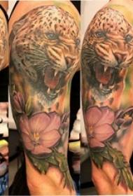 Tatuatu di leopardo tatuatu maschile bracciu studiente leopardo tatuaggio di tatuaggio