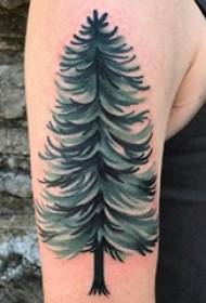 Dječaci ruku na oslikani gradijent jednostavnim apstraktnim linijama biljni bor tetovaža sliku