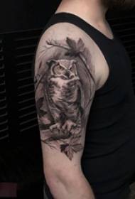 Çocuğun kolundaki siyah gri kroki yaratıcı otoriter baykuş dövme resmi