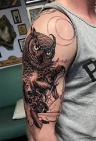 Дјечак на тетоважи сова скицира слику сове на рукама