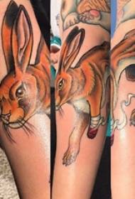 Hình xăm con thỏ Lop hình con thỏ màu hình xăm trên cánh tay cô gái