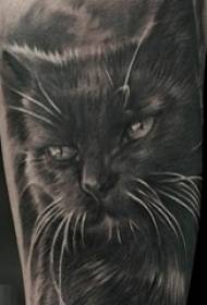 黒のスケッチのスティングのヒントの創造的な猫の入れ墨の写真の男の子の腕