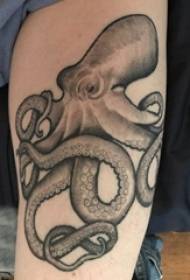 Чорная рука студэнта татуіроўкі васьмінога на малюнку жывёл чорнай татуіроўкі васьмінога