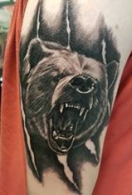 Бейлі тварини татуювання тварини руку на малюнку татуювання чорний ведмідь